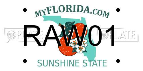 RAW01 Florida License Plate