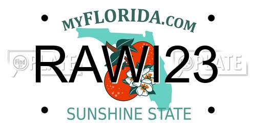 RAWI23 Florida License Plate
