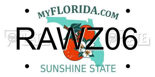 RAWZ06 Florida License Plate