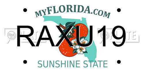 RAXU19 Florida License Plate