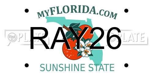 RAY26 Florida License Plate