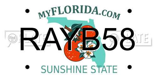 RAYB58 Florida License Plate