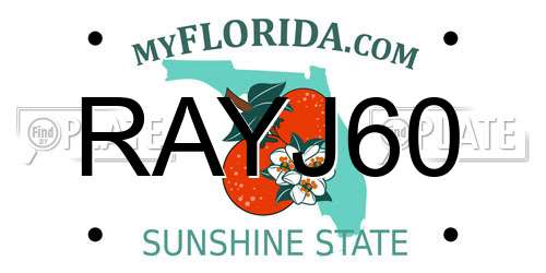 RAYJ60 Florida License Plate