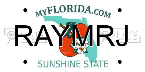 RAYMRJ Florida License Plate
