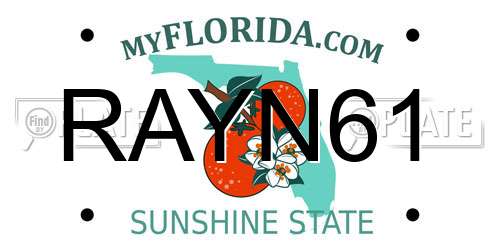 RAYN61 Florida License Plate