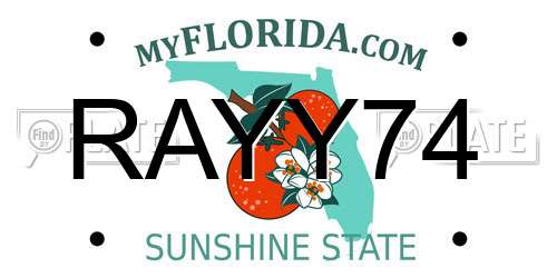 RAYY74 Florida License Plate