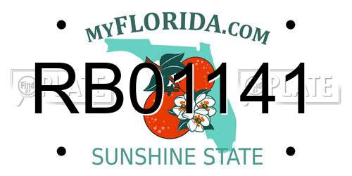 RB01141 Florida License Plate