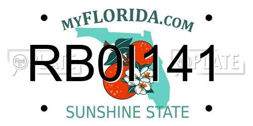RB0I141 Florida License Plate