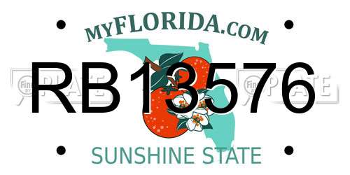 RB13576 Florida License Plate