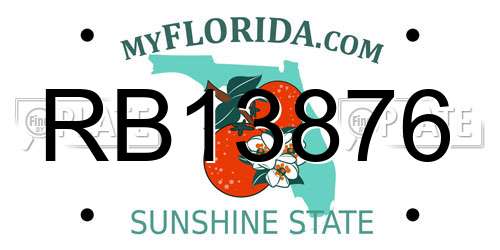 RB13876 Florida License Plate