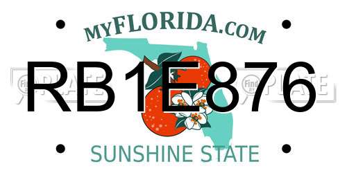 RB1E876 Florida License Plate