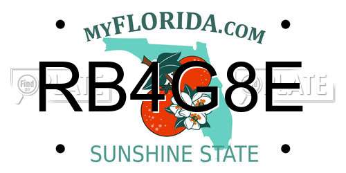 RB4G8E Florida License Plate