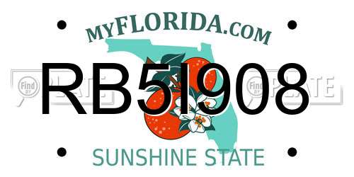 RB5I908 Florida License Plate
