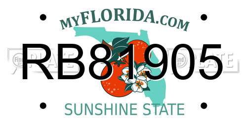RB81905 Florida License Plate