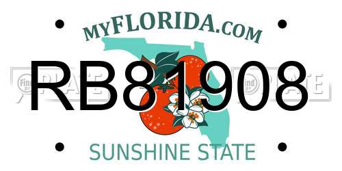 RB81908 Florida License Plate