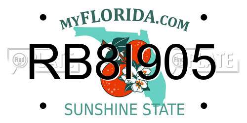 RB8I905 Florida License Plate
