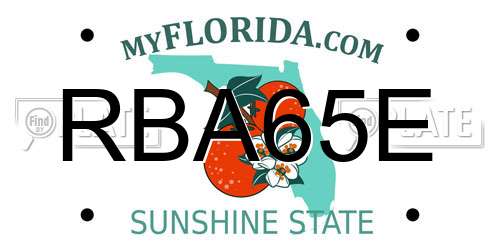 RBA65E Florida License Plate