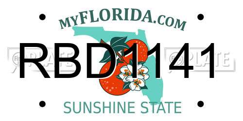 RBD1141 Florida License Plate