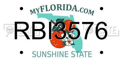 RBI3576 Florida License Plate