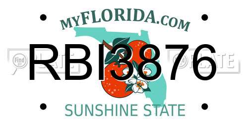 RBI3876 Florida License Plate