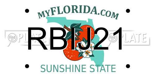 RBIJ21 Florida License Plate