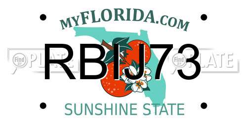 RBIJ73 Florida License Plate