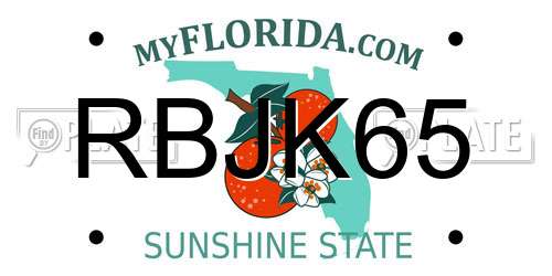 RBJK65 Florida License Plate