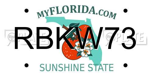 RBKW73 Florida License Plate