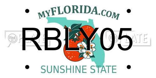 RBLY05 Florida License Plate