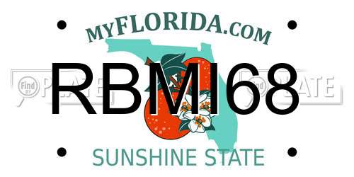 RBMI68 Florida License Plate
