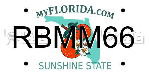 RBMM66 Florida License Plate