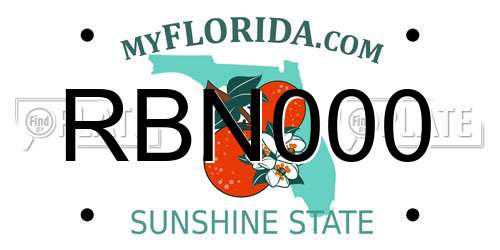 RBN000 Florida License Plate