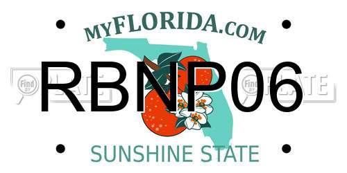 RBNP06 Florida License Plate