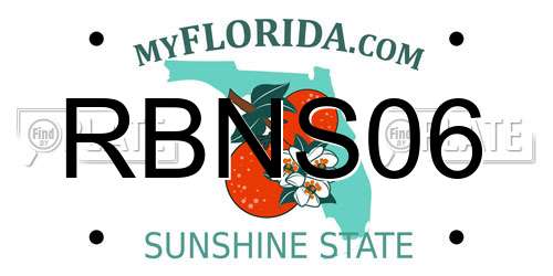 RBNS06 Florida License Plate