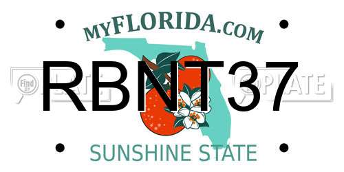 RBNT37 Florida License Plate