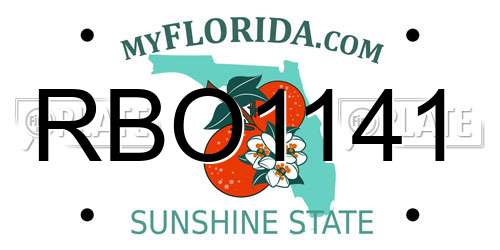 RBO1141 Florida License Plate