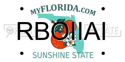 RBOIIAI Florida License Plate
