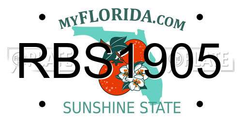 RBS1905 Florida License Plate
