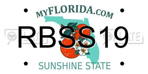 RBSS19 Florida License Plate
