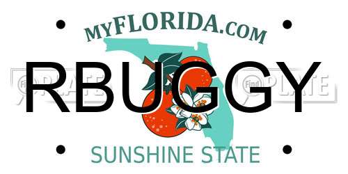 RBUGGY Florida License Plate