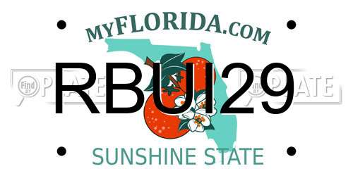 RBUI29 Florida License Plate