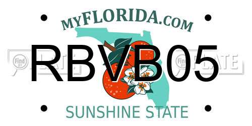 RBVB05 Florida License Plate