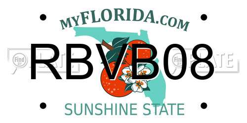 RBVB08 Florida License Plate