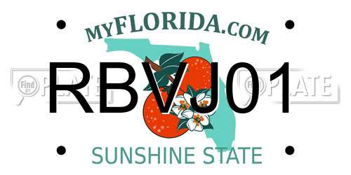 RBVJ01 Florida License Plate