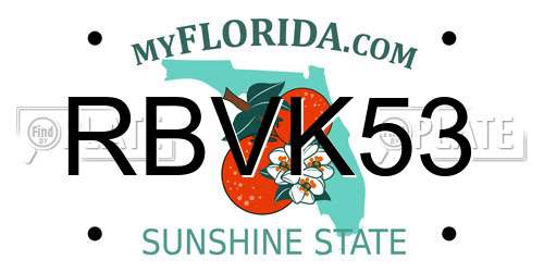 RBVK53 Florida License Plate