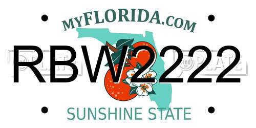 RBW2222 Florida License Plate