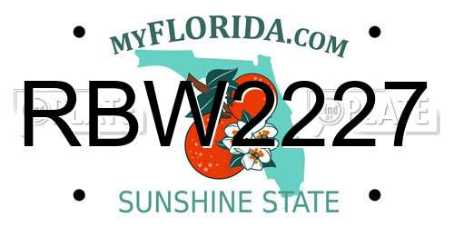 RBW2227 Florida License Plate