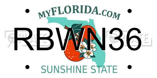 RBWN36 Florida License Plate