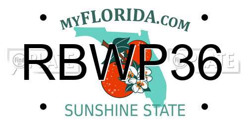 RBWP36 Florida License Plate