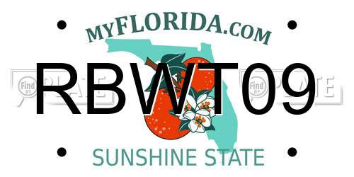 RBWT09 Florida License Plate